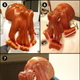 Illustration for article titled This Is the Ultimate in Octopus Hair Accessories